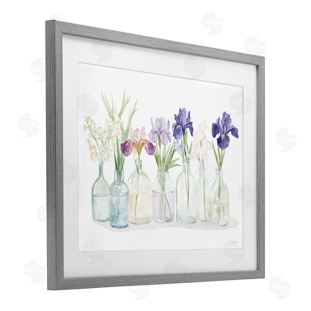 Svetlana Aleynikova Irises in Glass Bottles Gray Framed Print Under Glass Wall Art