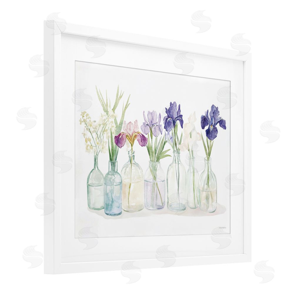 Svetlana Aleynikova Irises in Glass Bottles White Framed Print Under Glass Wall Art