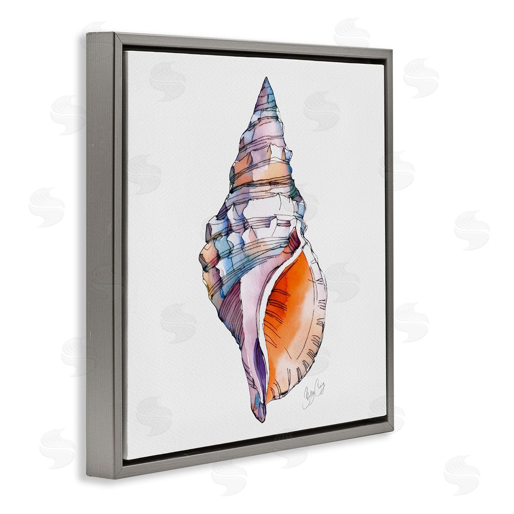 Shelly Craig Sunrise Conch Shell Gray Floating Frame Canvas Wall Art Print