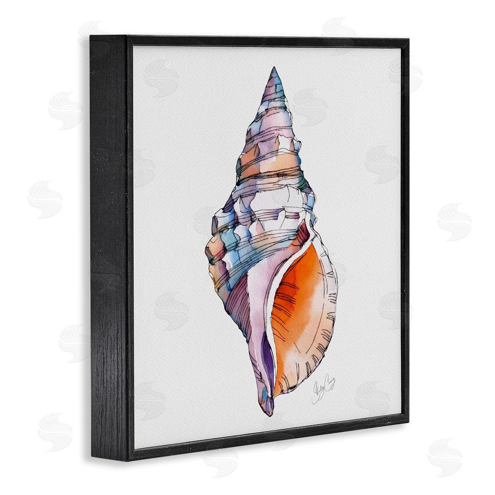 Shelly Craig Sunrise Conch Shell Black Framed Giclee Wall Art Print