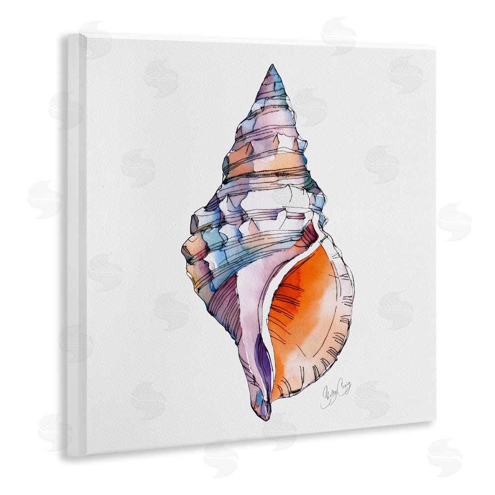 Shelly Craig Sunrise Conch Shell Wooden Wall Plaque Art Print