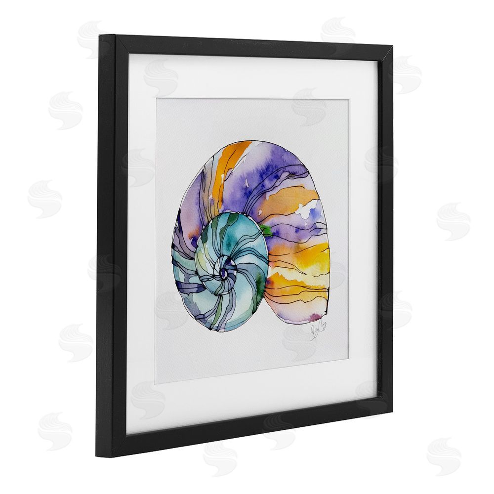 Shelly Craig Sunlit Striped Nautilus Black Framed Print Under Glass Wall Art
