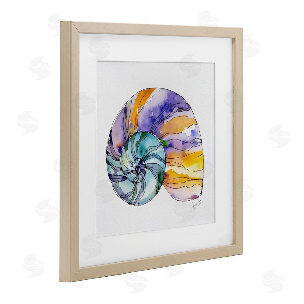 Shelly Craig Sunlit Striped Nautilus Brown Framed Print Under Glass Wall Art