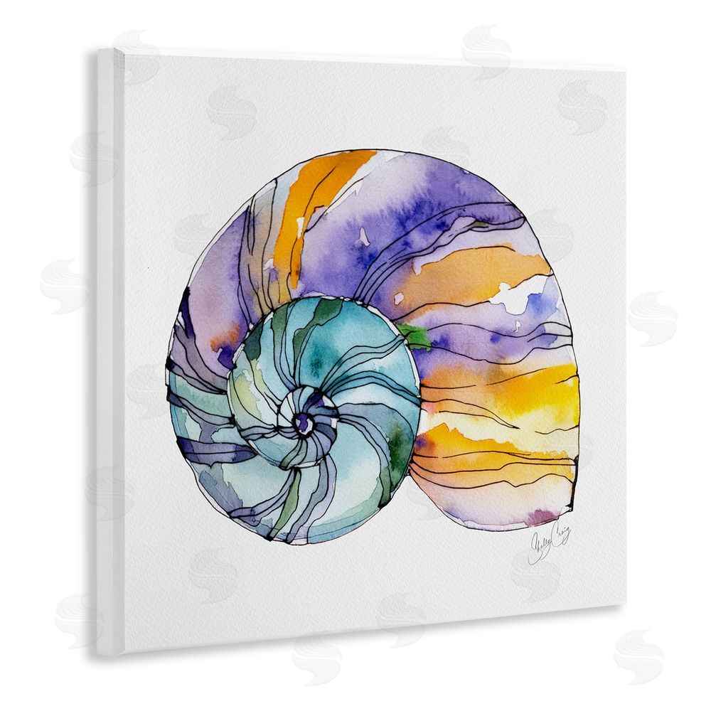 Shelly Craig Sunlit Striped Nautilus Wooden Wall Plaque Art Print