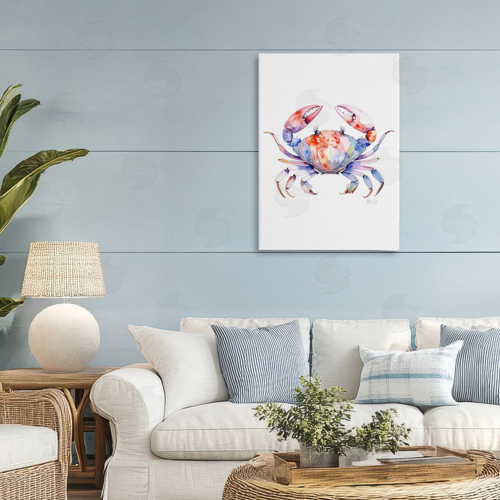 Shelly Craig Tide Dancer Crab 