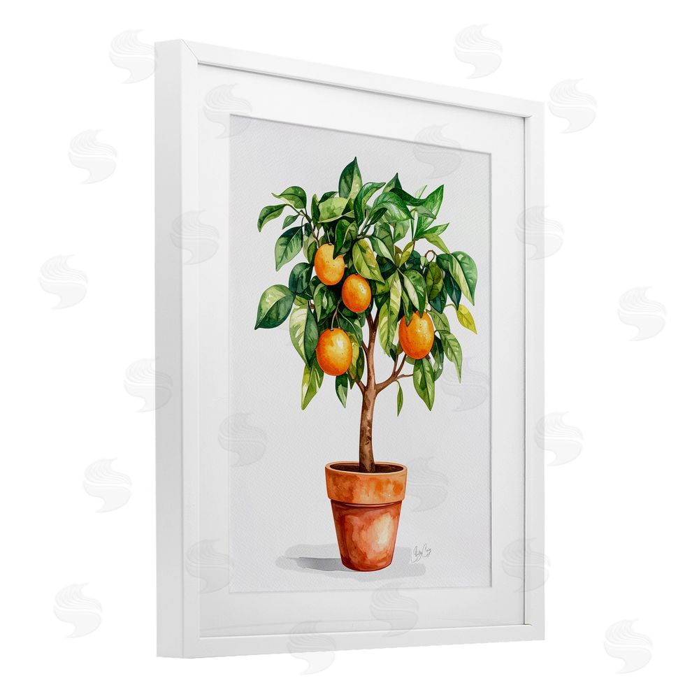 Shelly Craig Potted Orange Tree White Framed Print Under Glass Wall Art