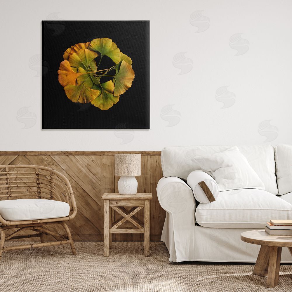 Beth Adoette Overlapping Ginkgo Leaves Stretched Canvas Wall Art in Room
