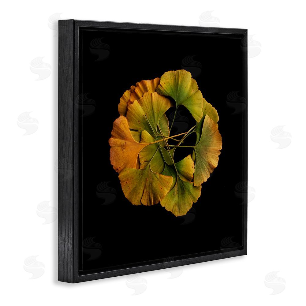 Beth Adoette Overlapping Ginkgo Leaves Black Floating Frame Canvas Wall Art Print
