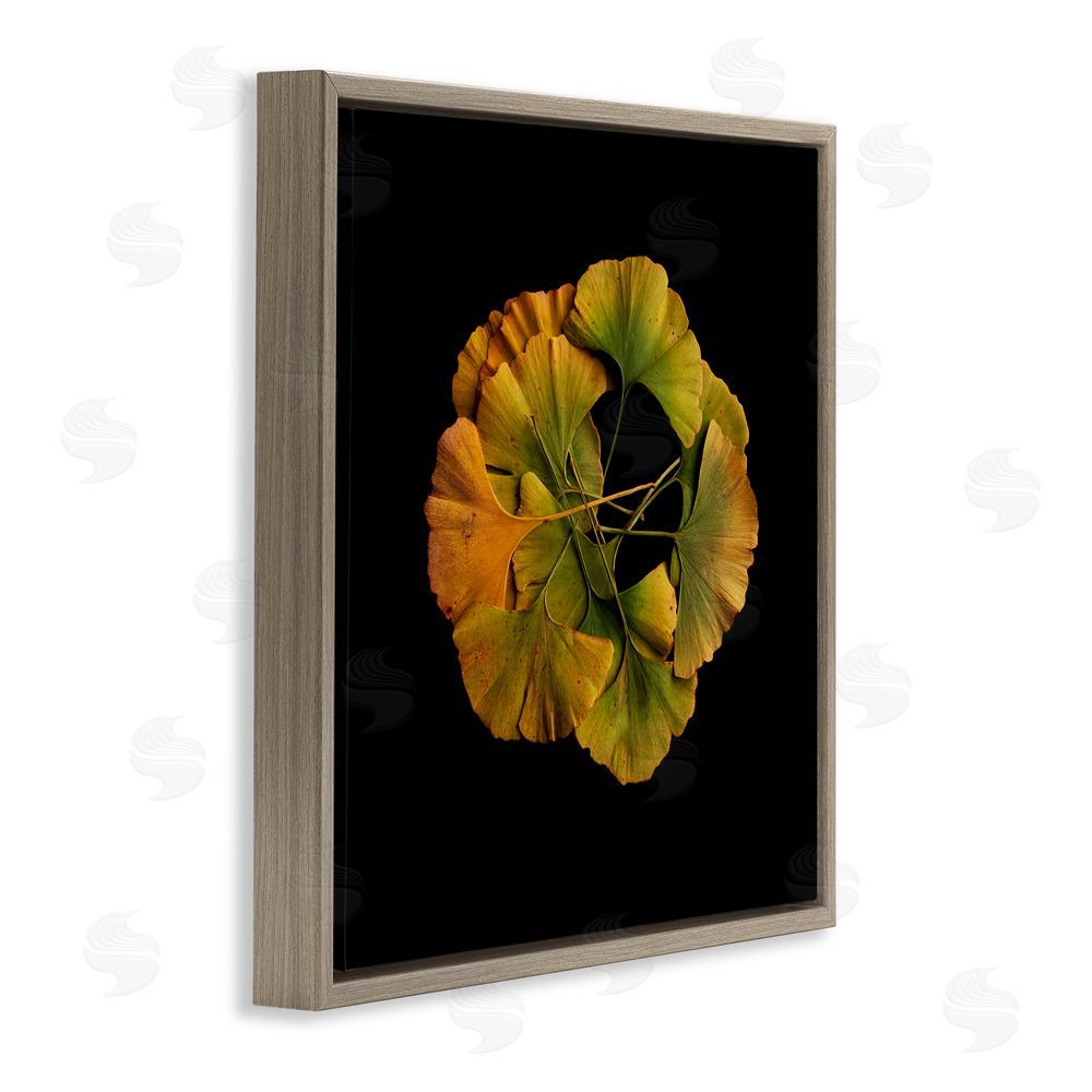 Beth Adoette Overlapping Ginkgo Leaves Brown Floating Frame Canvas Wall Art Print