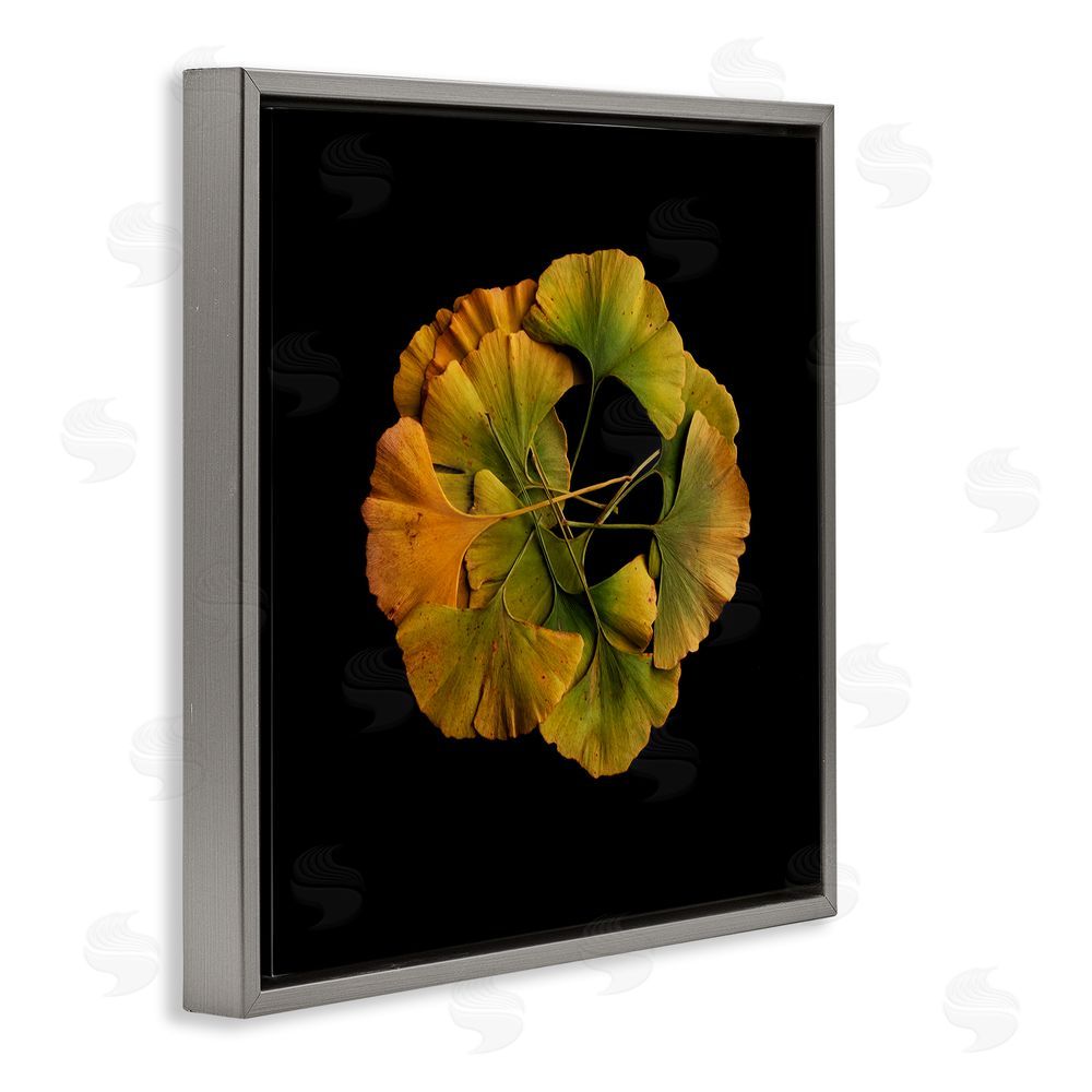 Beth Adoette Overlapping Ginkgo Leaves Gray Floating Frame Canvas Wall Art Print
