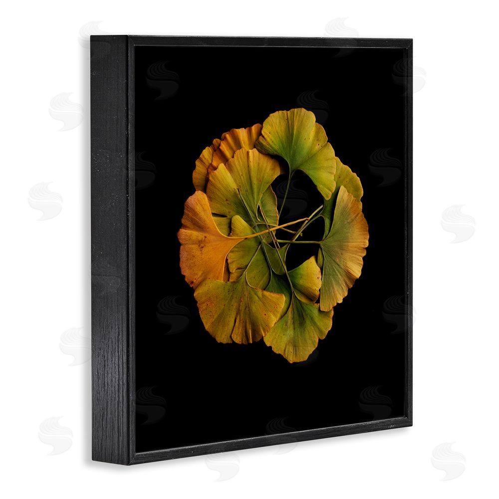 Beth Adoette Overlapping Ginkgo Leaves Black Framed Giclee Wall Art Print