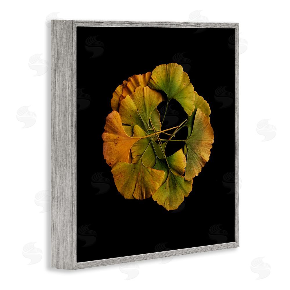 Beth Adoette Overlapping Ginkgo Leaves Gray Framed Giclee Wall Art Print