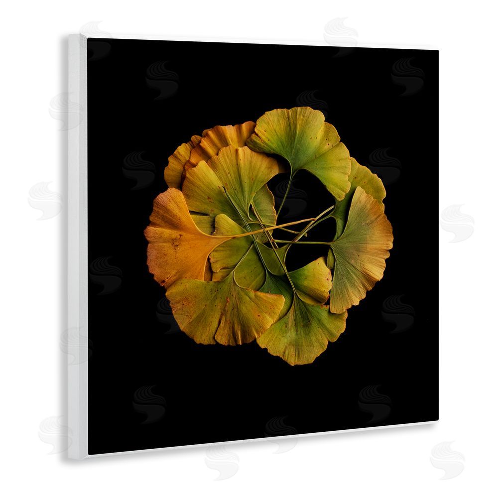 Beth Adoette Overlapping Ginkgo Leaves Wooden Wall Plaque Art Print