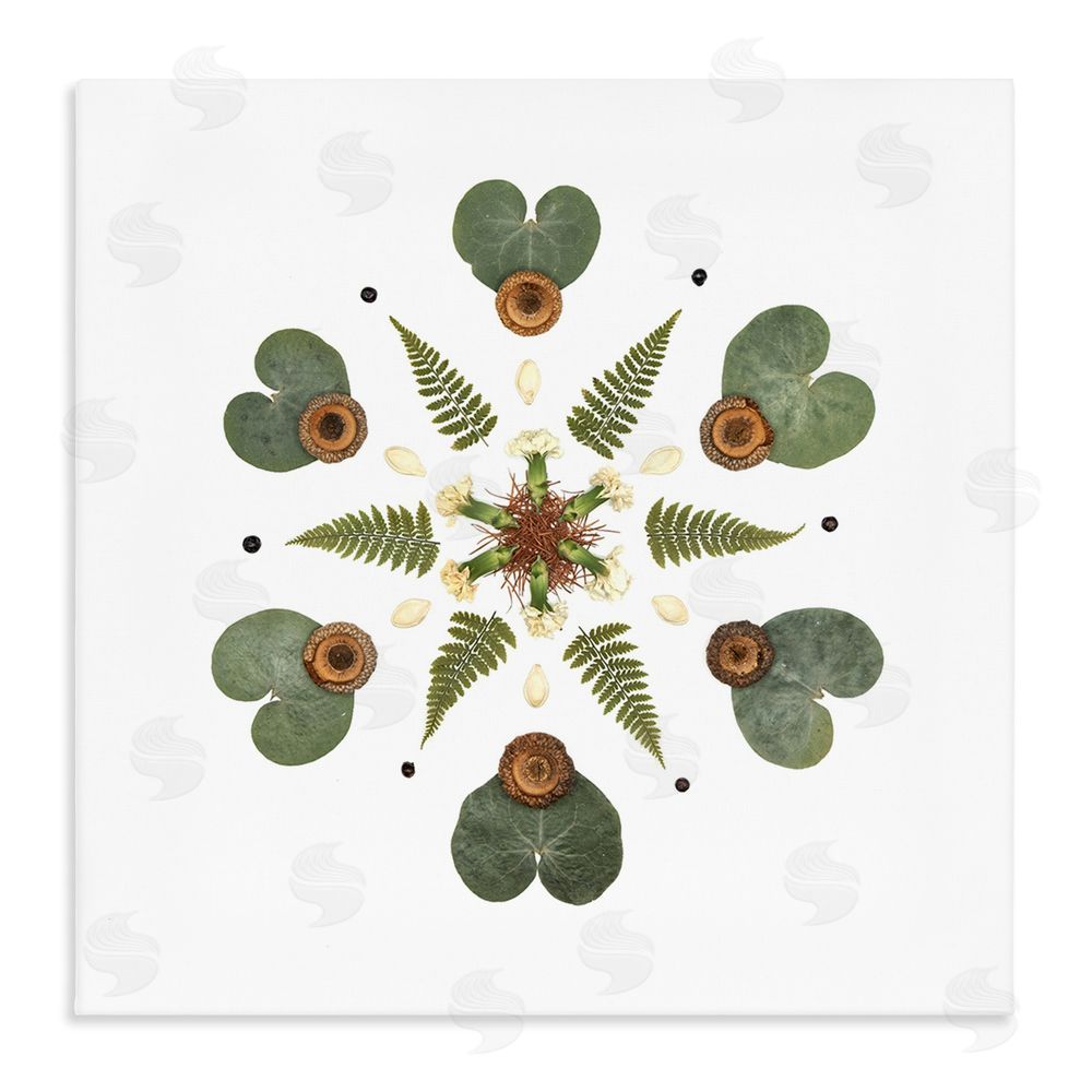 Beth Adoette Lily Pad & Fern Mandala Stretched Canvas Wall Art Print