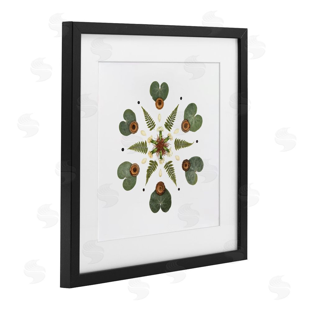 Beth Adoette Lily Pad & Fern Mandala Black Framed Print Under Glass Wall Art