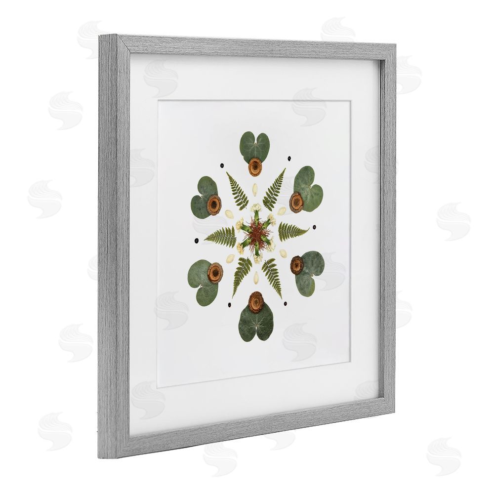Beth Adoette Lily Pad & Fern Mandala Gray Framed Print Under Glass Wall Art