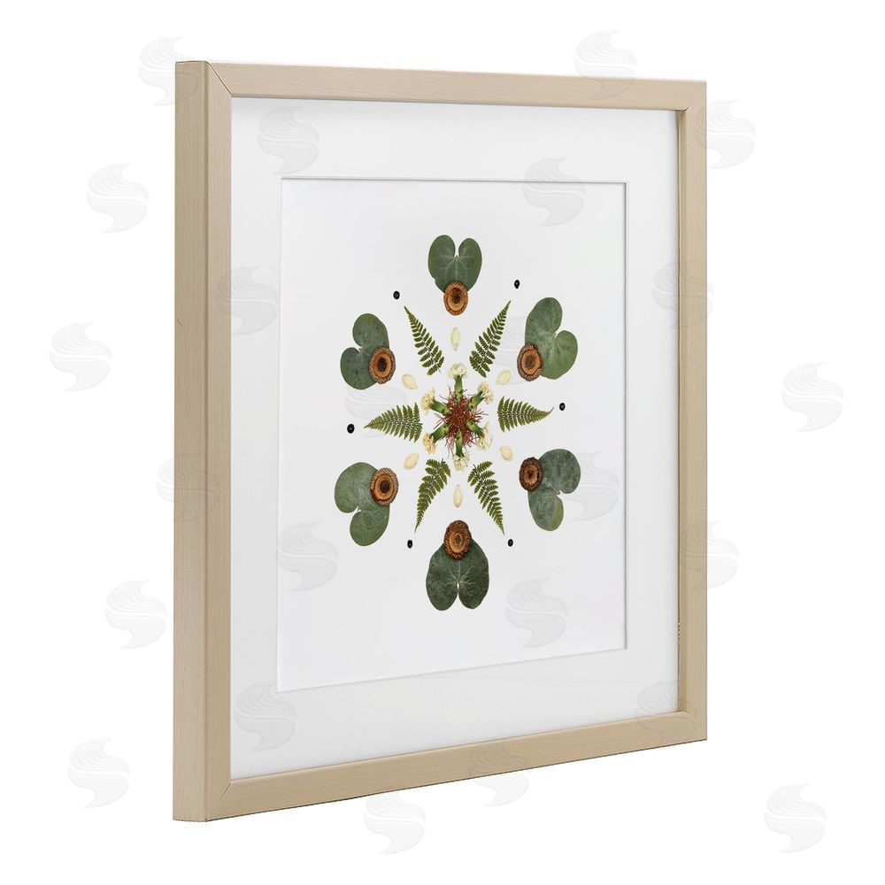 Beth Adoette Lily Pad & Fern Mandala Brown Framed Print Under Glass Wall Art