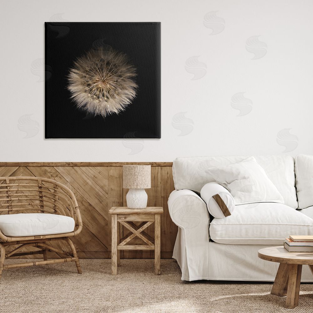 Beth Adoette Wispy Dandelion on Black Stretched Canvas Wall Art Print in Room