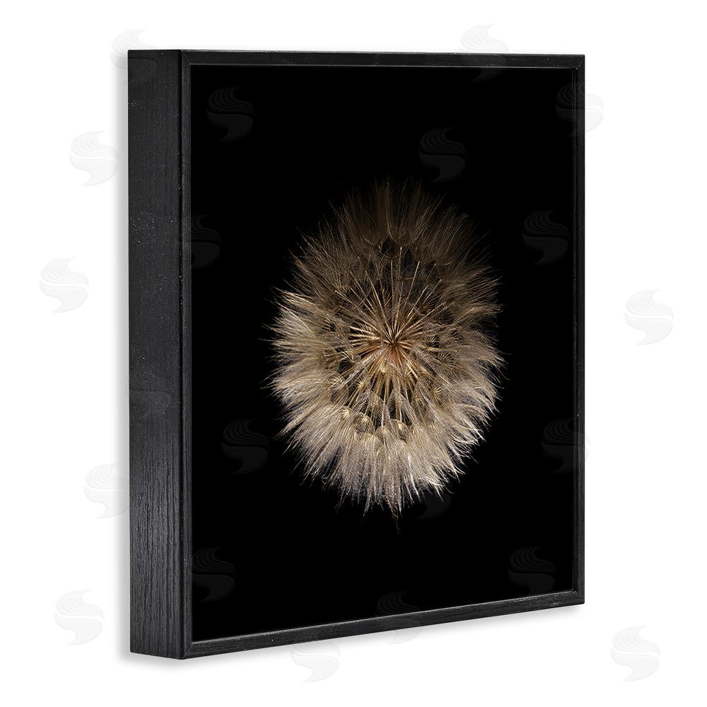 Beth Adoette Wispy Dandelion on Black Black Framed Giclee Wall Art Print