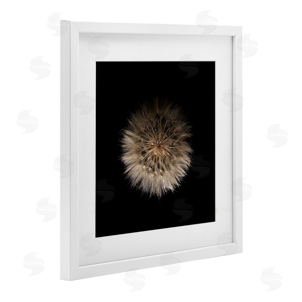 Beth Adoette Wispy Dandelion on Black White Framed Print Under Glass with Matting Wall Art
