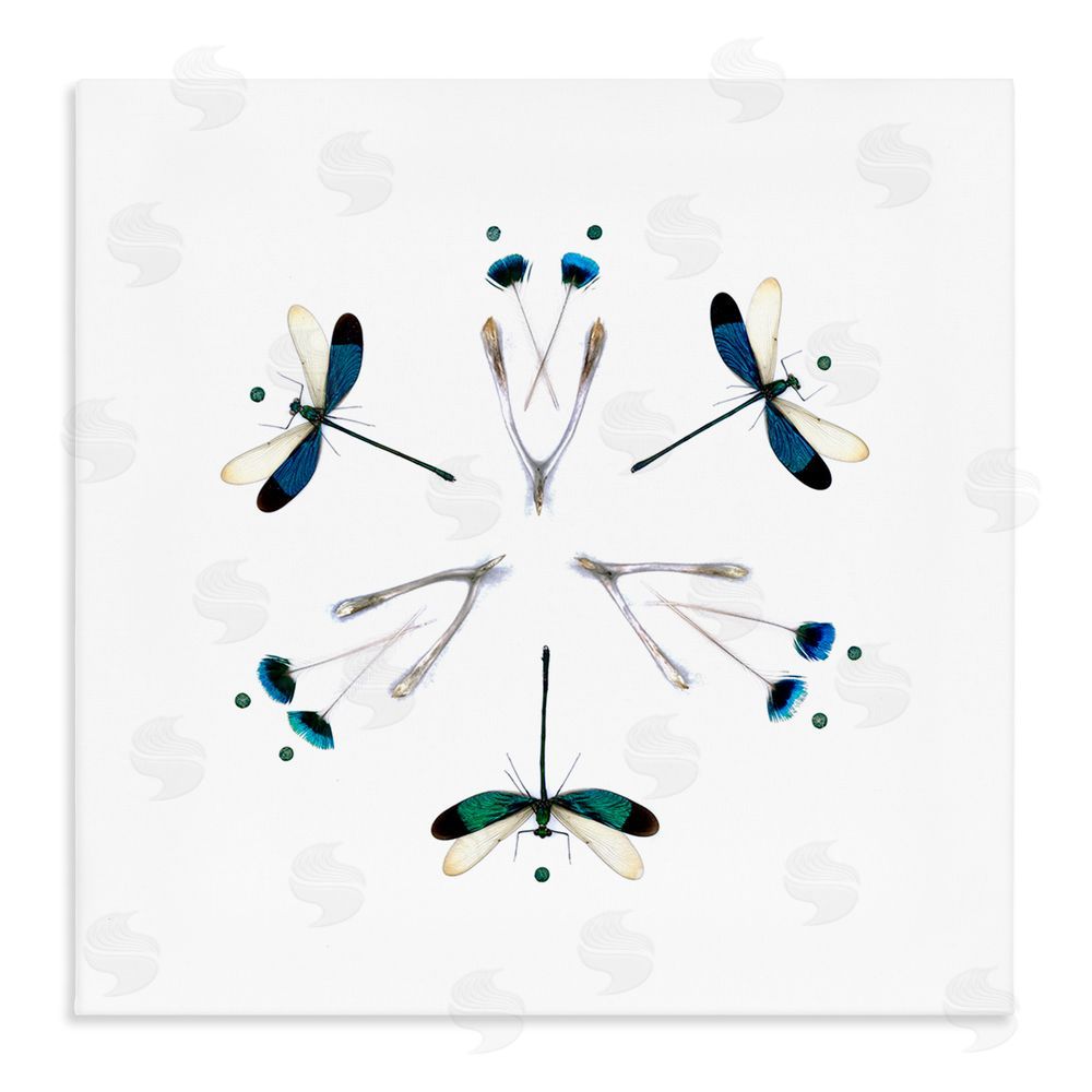 Beth Adoette Simple Dragonfly Symmetry Stretched Canvas Wall Art Print