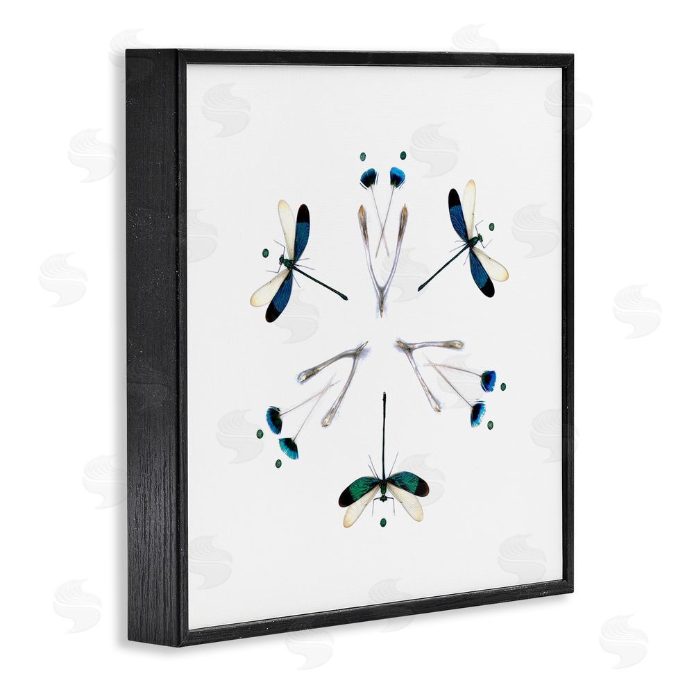 Beth Adoette Simple Dragonfly Symmetry Black Framed Giclee Wall Art Print