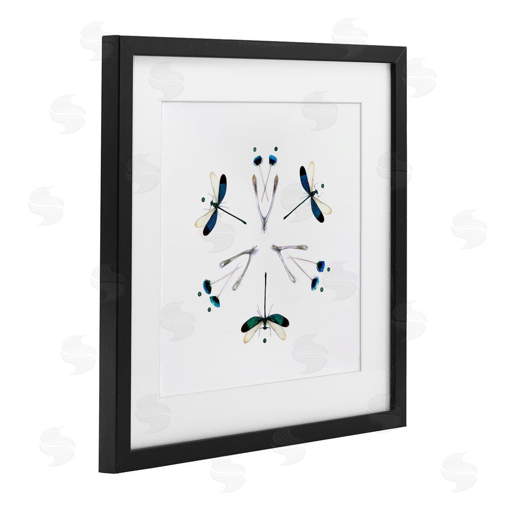 Beth Adoette Simple Dragonfly Symmetry Black Framed Print Under Glass Wall Art