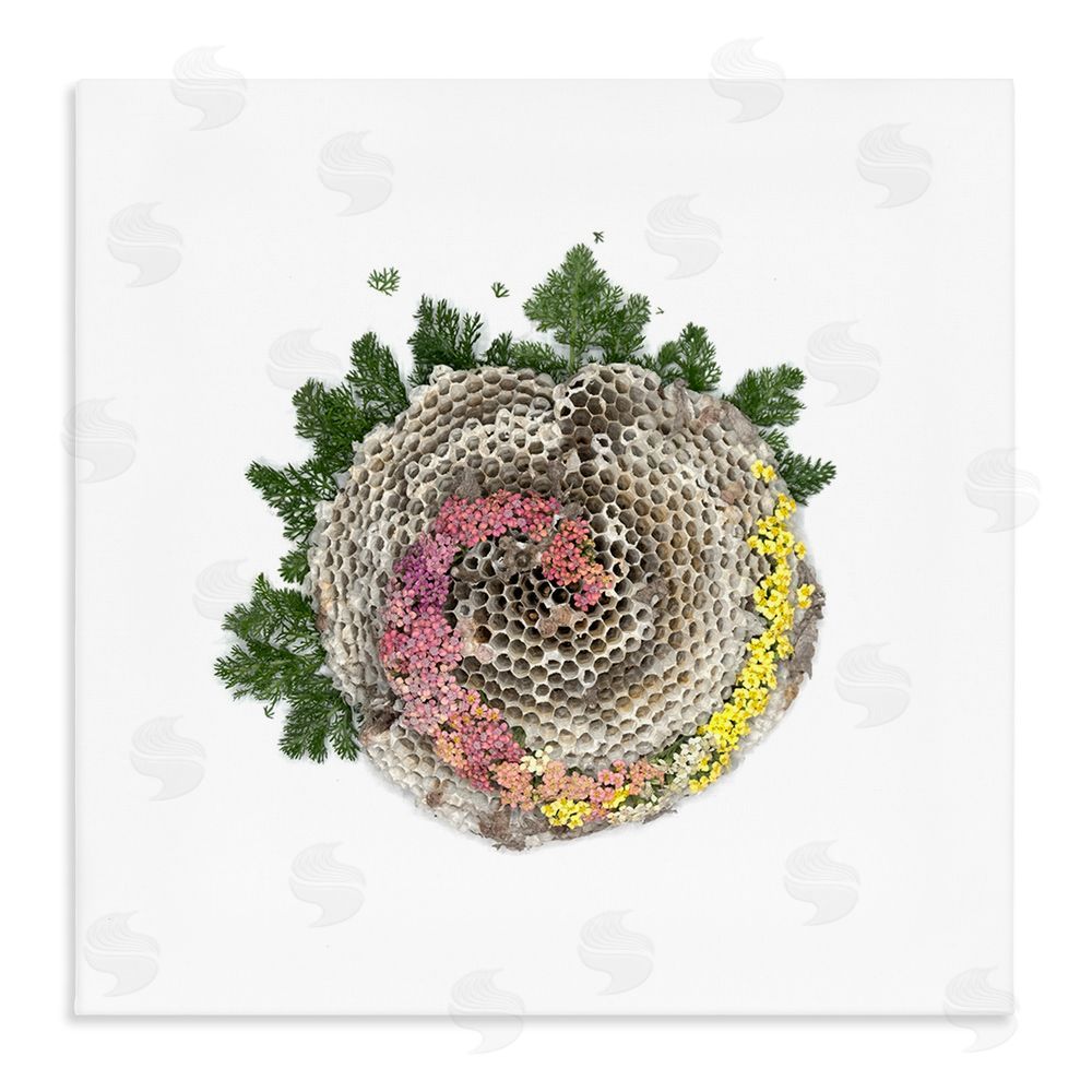 Beth Adoette Honeycomb with Botanicals Stretched Canvas Wall Art Print