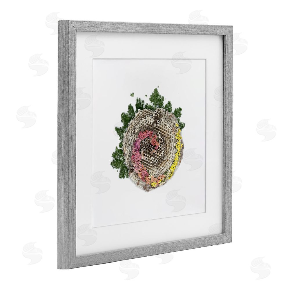 Beth Adoette Honeycomb with Botanicals Gray Framed Print Under Glass Wall Art