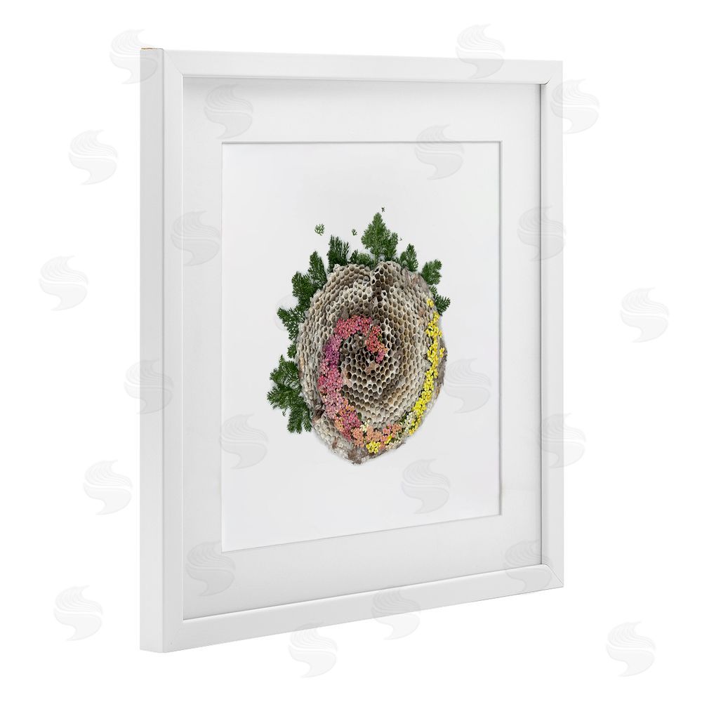 Beth Adoette Honeycomb with Botanicals White Framed Print Under Glass Wall Art