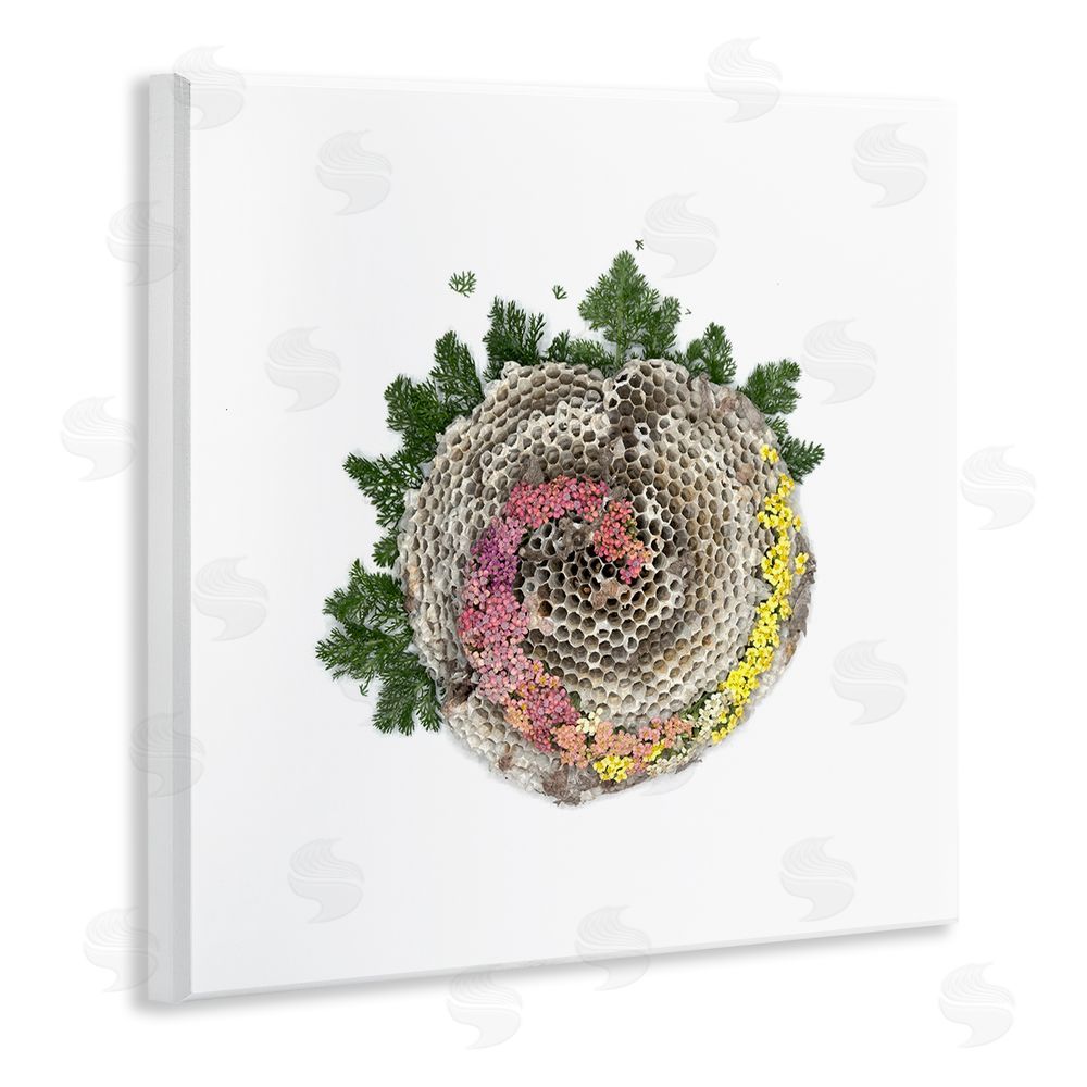 Beth Adoette Honeycomb with Botanicals Wooden Wall Plaque Art Print