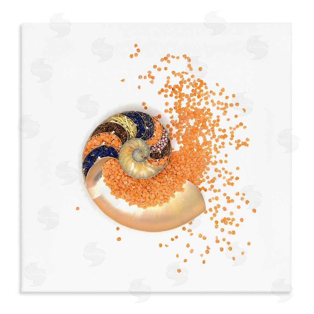 Beth Adoette Orange Nautilus Spiral Stretched Canvas Wall Art Print