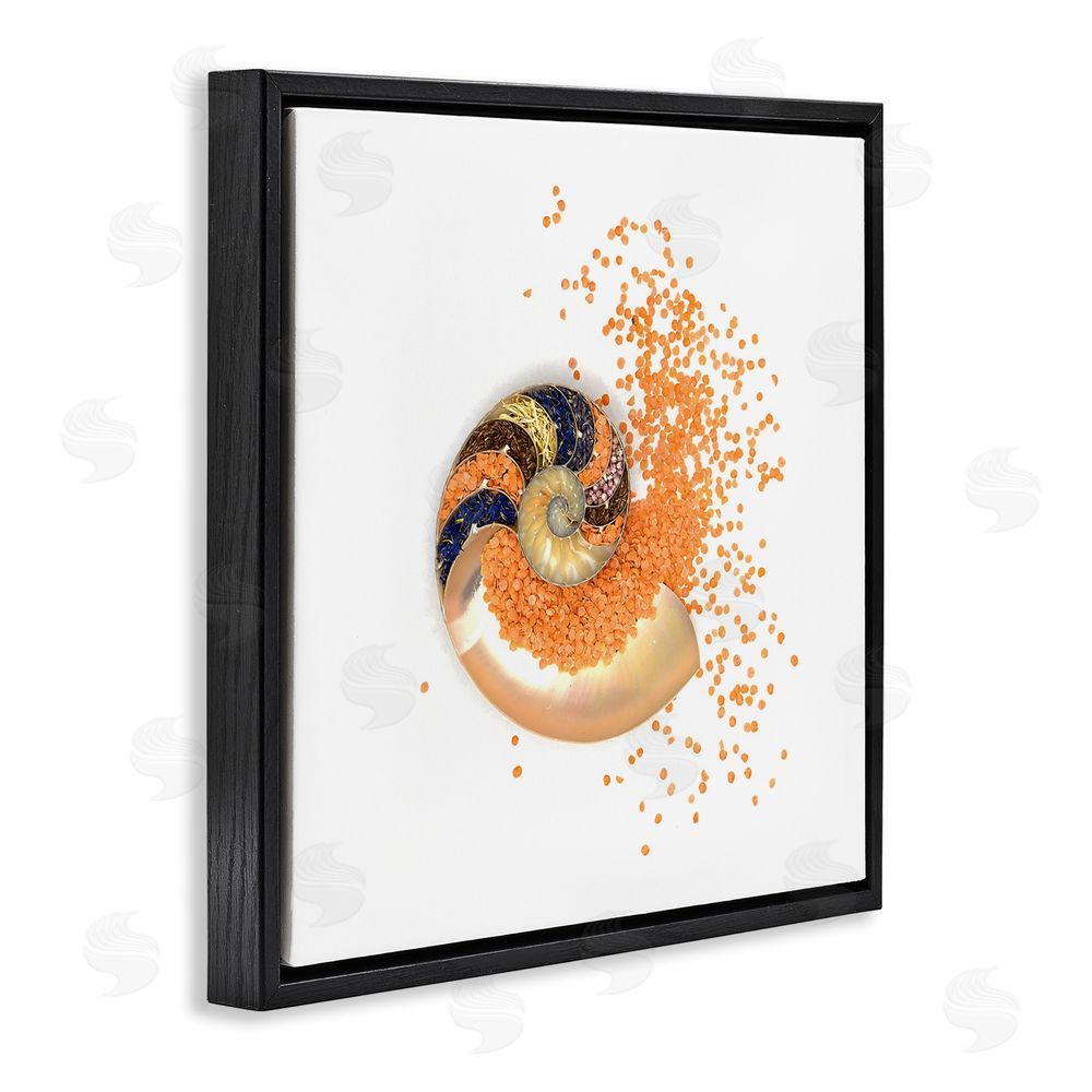 Beth Adoette Orange Nautilus Spiral Black Floating Frame Canvas Wall Art Print