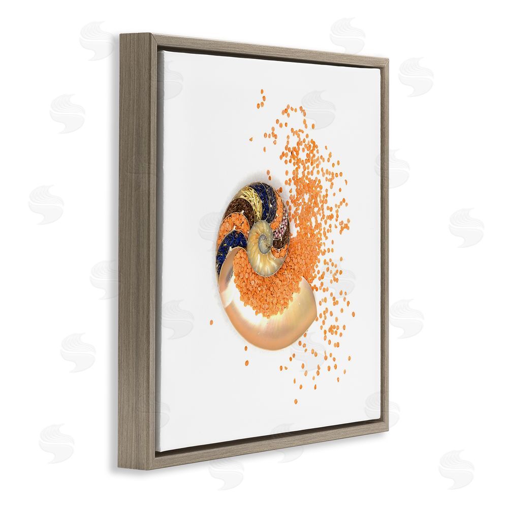 Beth Adoette Orange Nautilus Spiral Brown Floating Frame Canvas Wall Art Print