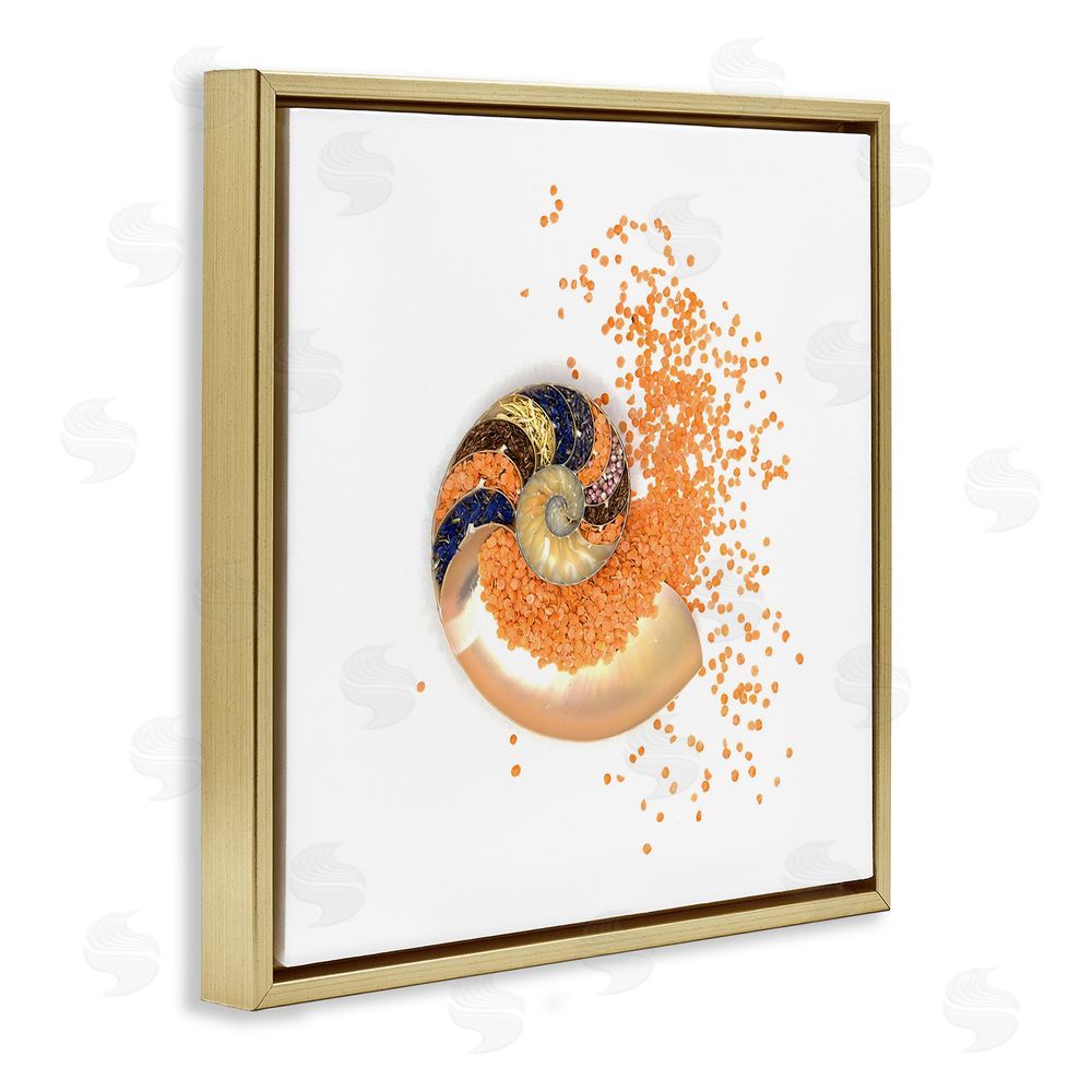 Beth Adoette Orange Nautilus Spiral Gold Floating Frame Canvas Wall Art Print