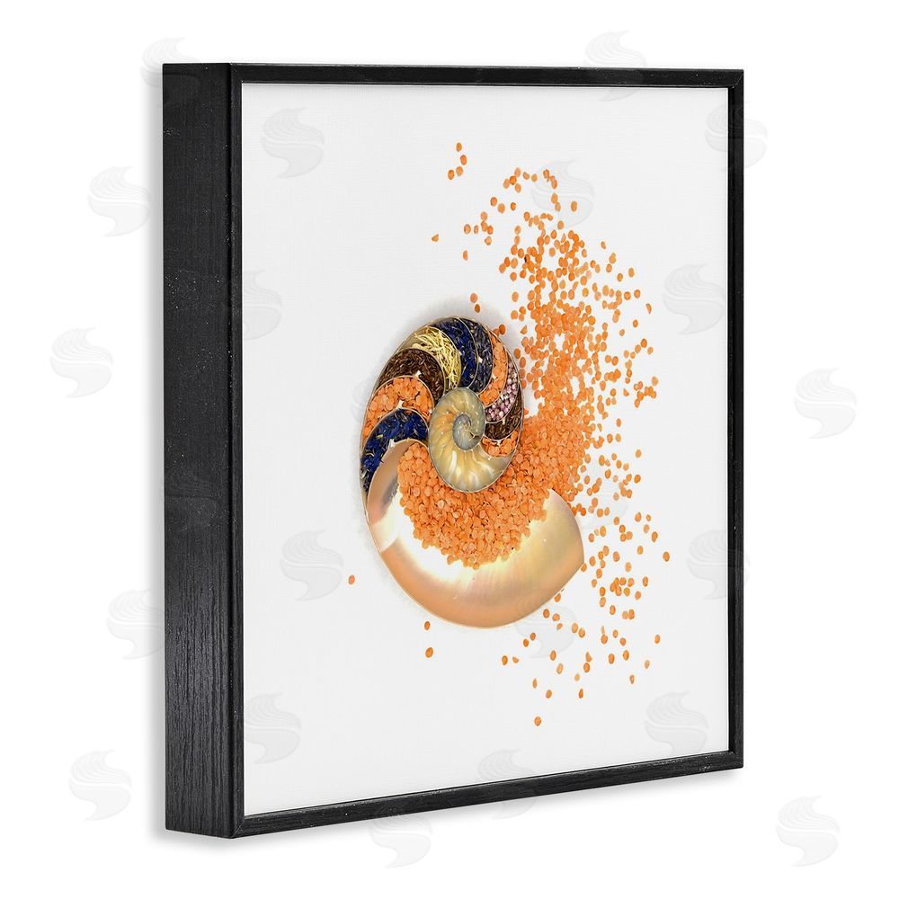 Beth Adoette Orange Nautilus Spiral Black Framed Giclee Wall Art Print