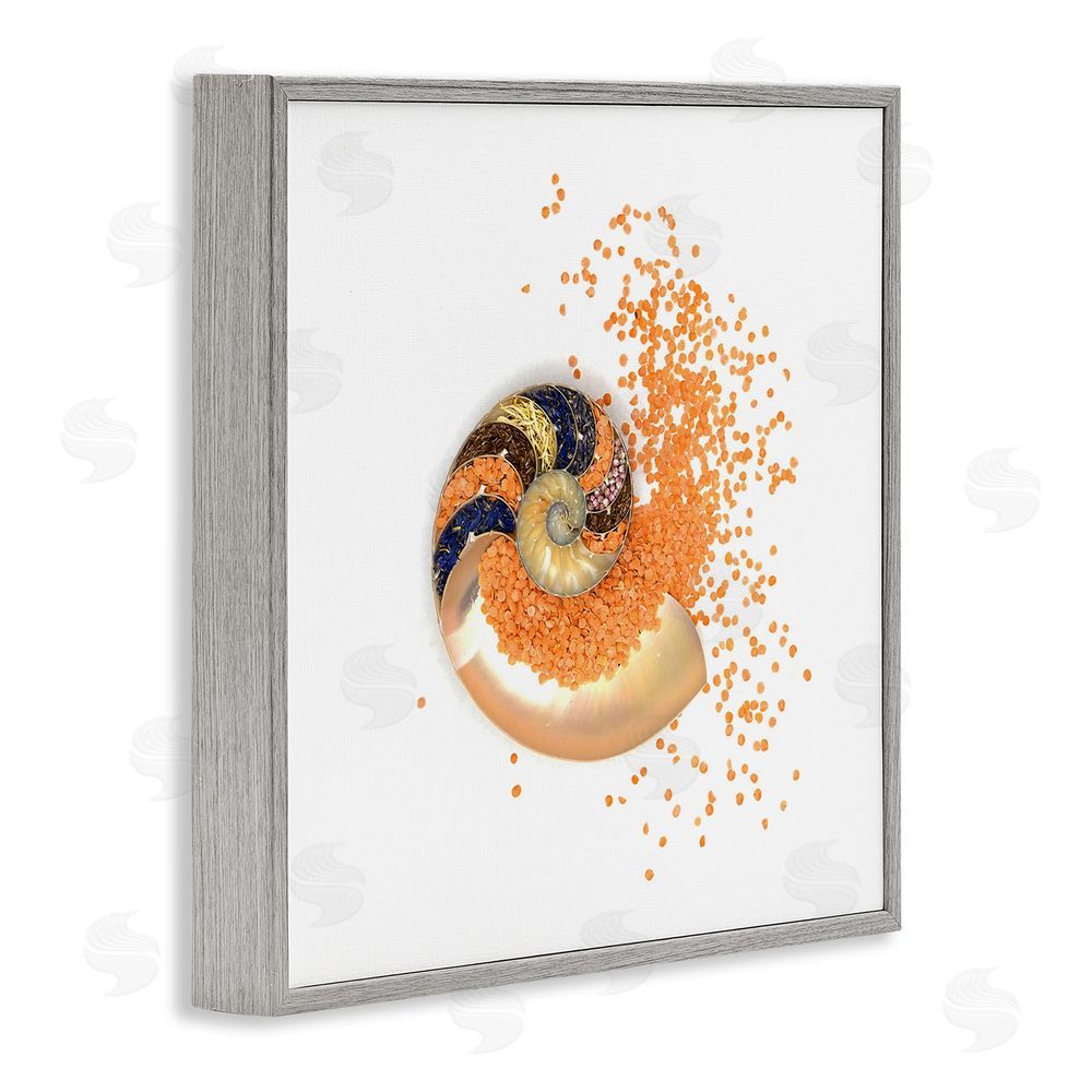 Beth Adoette Orange Nautilus Spiral Gray Framed Giclee Wall Art Print