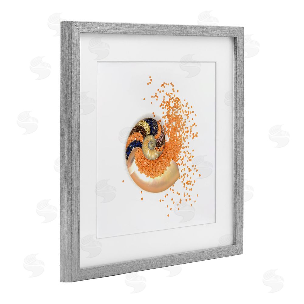 Beth Adoette Orange Nautilus Spiral Gray Framed Print Under Glass Wall Art