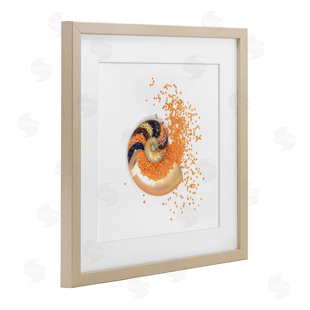 Beth Adoette Orange Nautilus Spiral Brown Framed Print Under Glass Wall Art