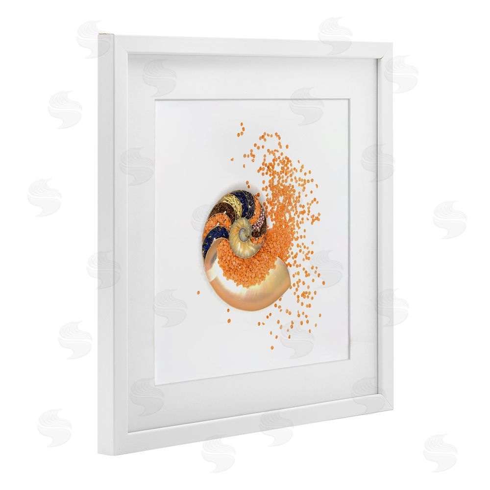 Beth Adoette Orange Nautilus Spiral White Framed Print Under Glass Wall Art