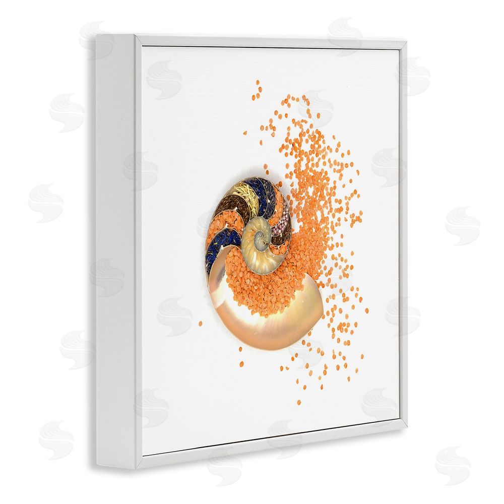 Beth Adoette Orange Nautilus Spiral White Framed Giclee Wall Art Print