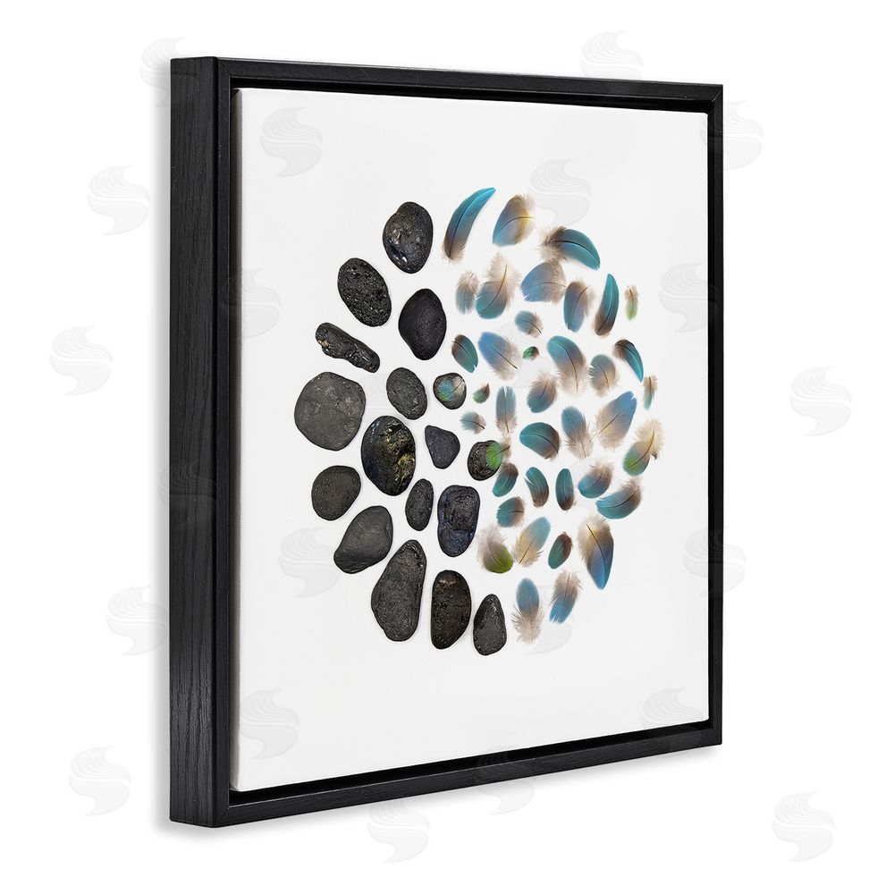Beth Adoette Feathers & Rocks Collection Black Floating Frame Canvas Wall Art Print