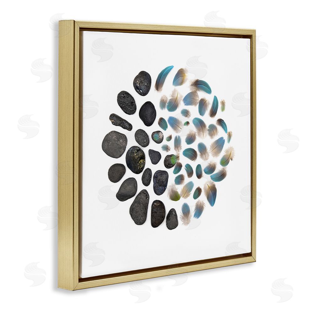 Beth Adoette Feathers & Rocks Collection Gold Floating Frame Canvas Wall Art Print