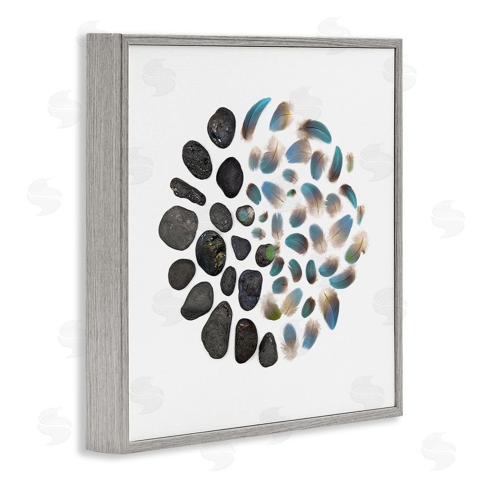 Beth Adoette Feathers & Rocks Collection Gray Framed Giclee Wall Art Print