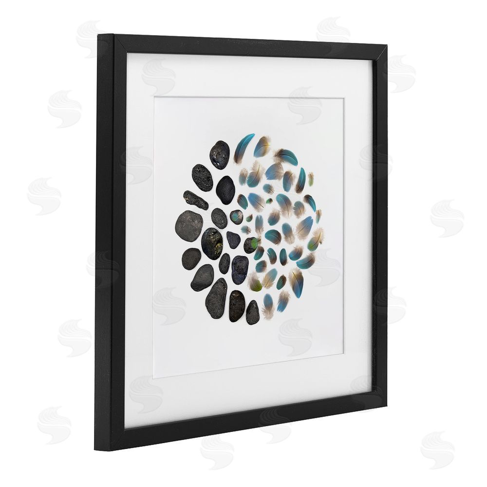 Beth Adoette Feathers & Rocks Collection Black Framed Print Under Glass Wall Art