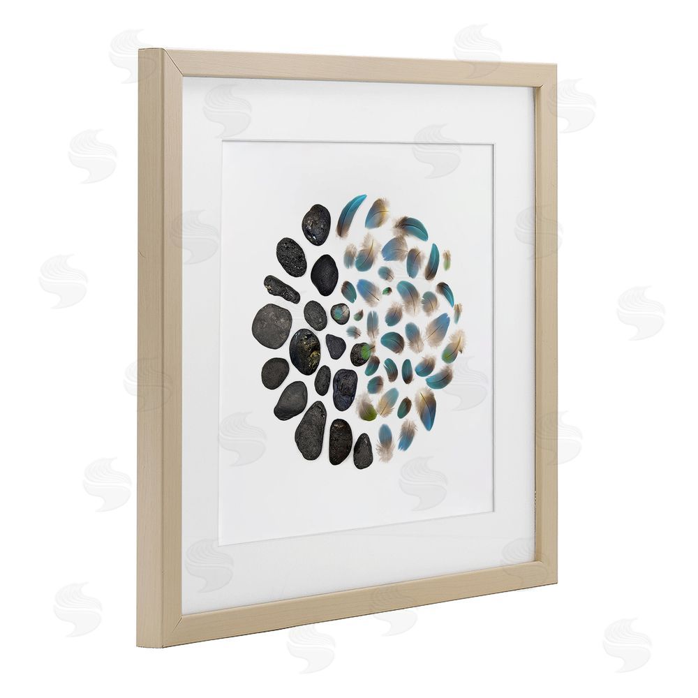 Beth Adoette Feathers & Rocks Collection Brown Framed Print Under Glass Wall Art