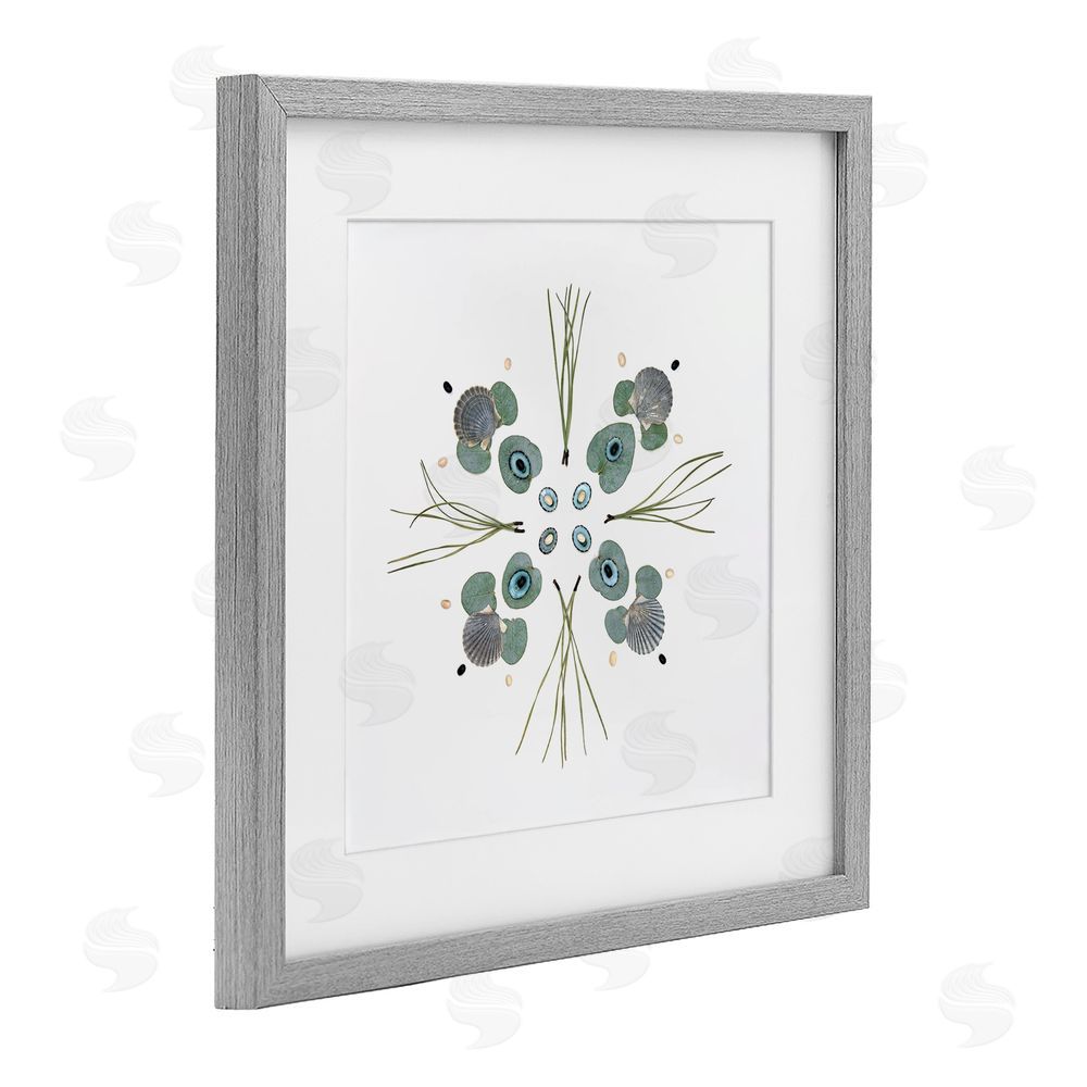 Beth Adoette Seashell & Leaf Symmetry Gray Framed Print Under Glass Wall Art
