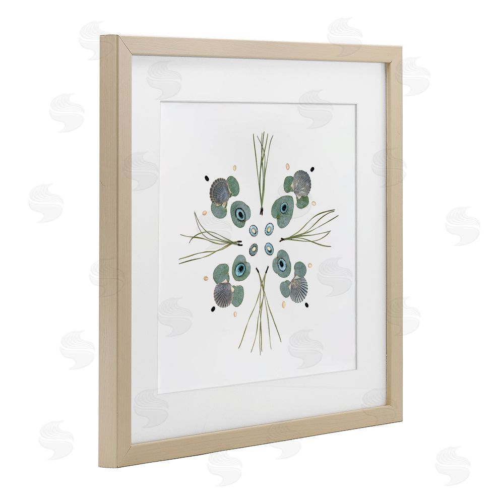 Beth Adoette Seashell & Leaf Symmetry Brown Framed Print Under Glass Wall Art