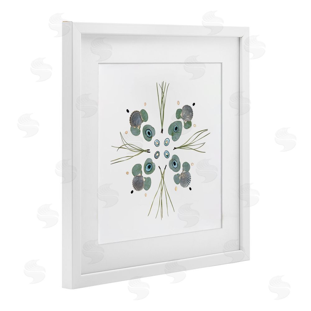 Beth Adoette Seashell & Leaf Symmetry White Framed Print Under Glass Wall Art