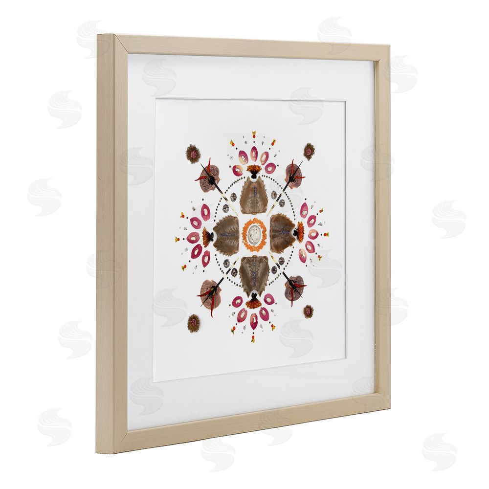 Beth Adoette Symmetrical Nautical Collection Brown Framed Print Under Glass Wall Art